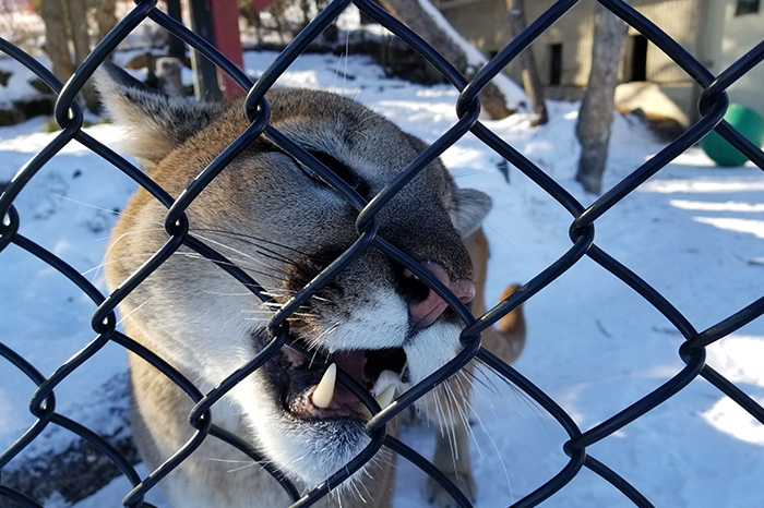 Assiniboine Park Zoo